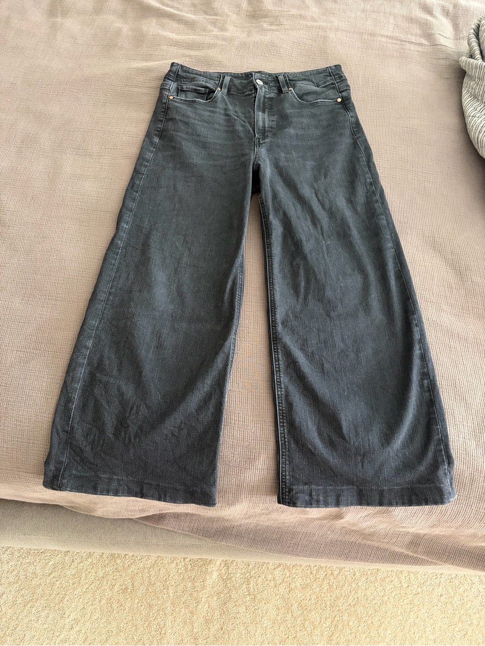 Paige Anessa Crop